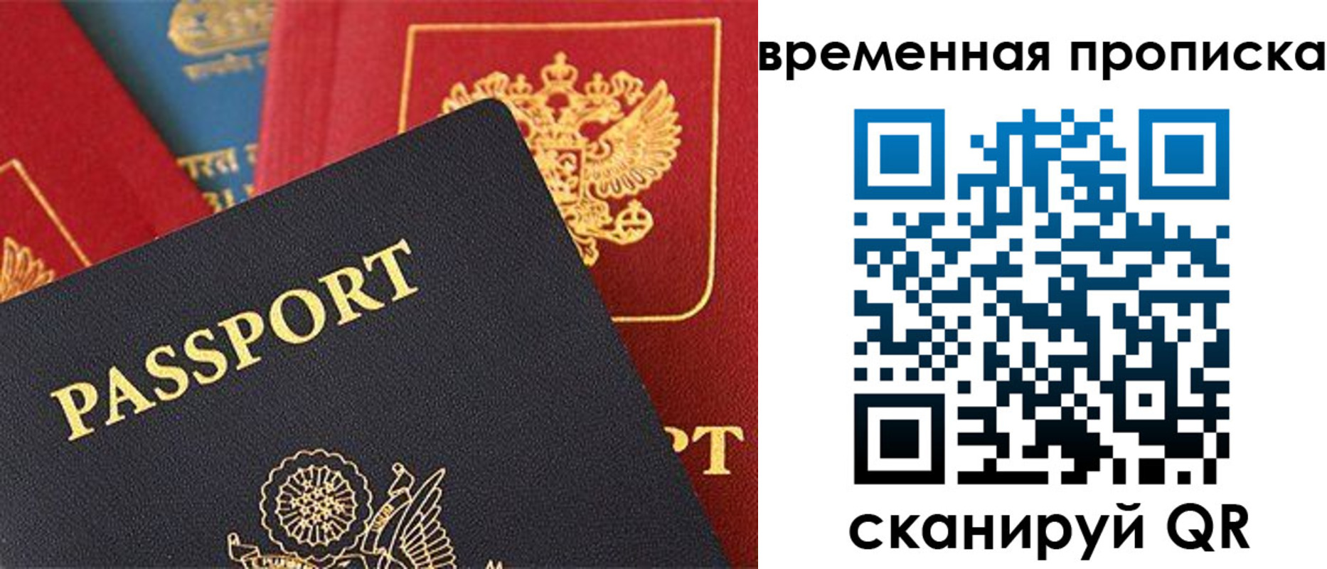 прописка для школы в Старом Осколе